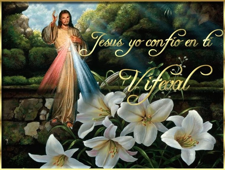  photo vifeval_zps17112030.jpg