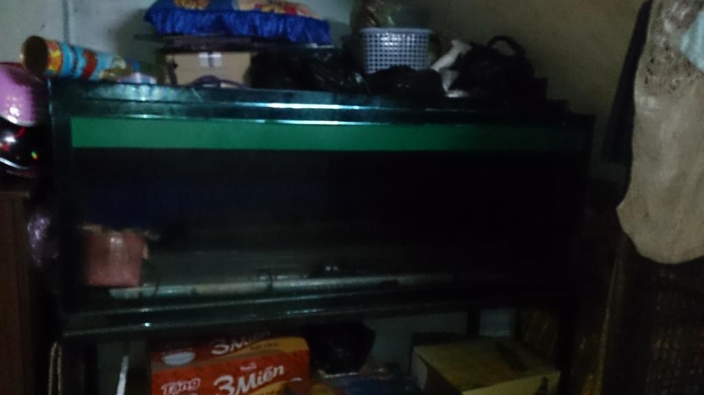 Bán trọn bộ hồ nuôi cá RỒNG - Kính 10 ly toàn bộ: 1m40 x60x60 ,1m50 x60x60 ,3 đèn,Lọc