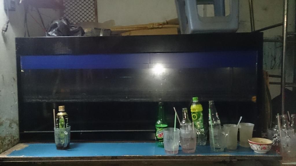 Bán trọn bộ hồ nuôi cá RỒNG - Kính 10 ly toàn bộ: 1m40 x60x60 ,1m50 x60x60 ,3 đèn,Lọc - 1