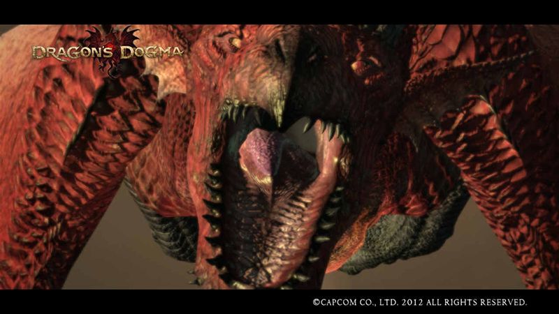 Dragons-Dogma-Screenshot_1_zps501b63f0.jpg