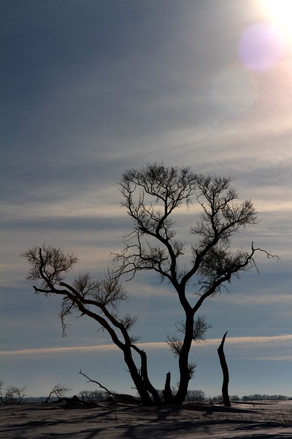 IMAGE: http://i1275.photobucket.com/albums/y447/415Photo/IMG_4175_zpse93f43a2.jpg