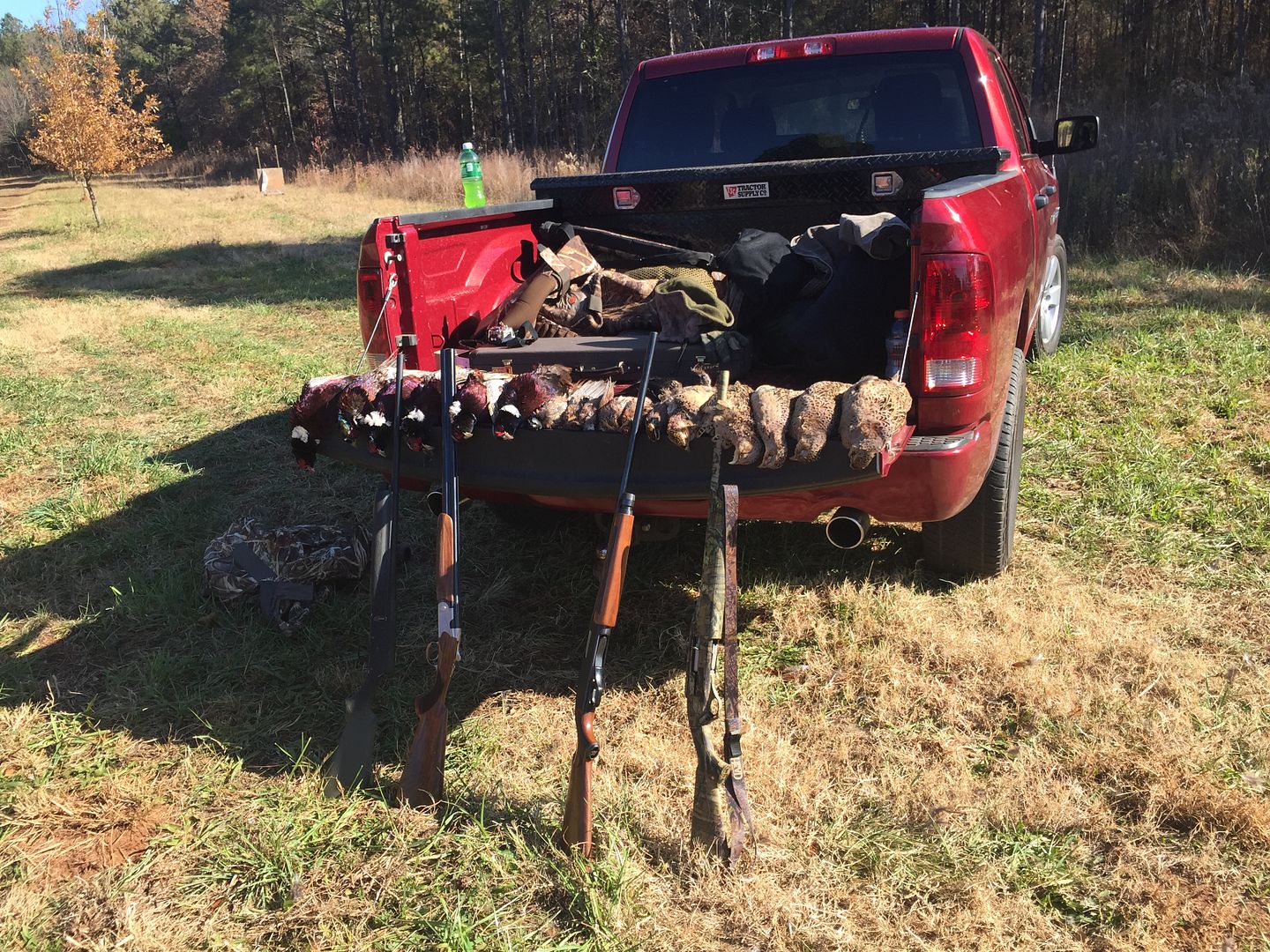 went after ducks but went after ducks but
