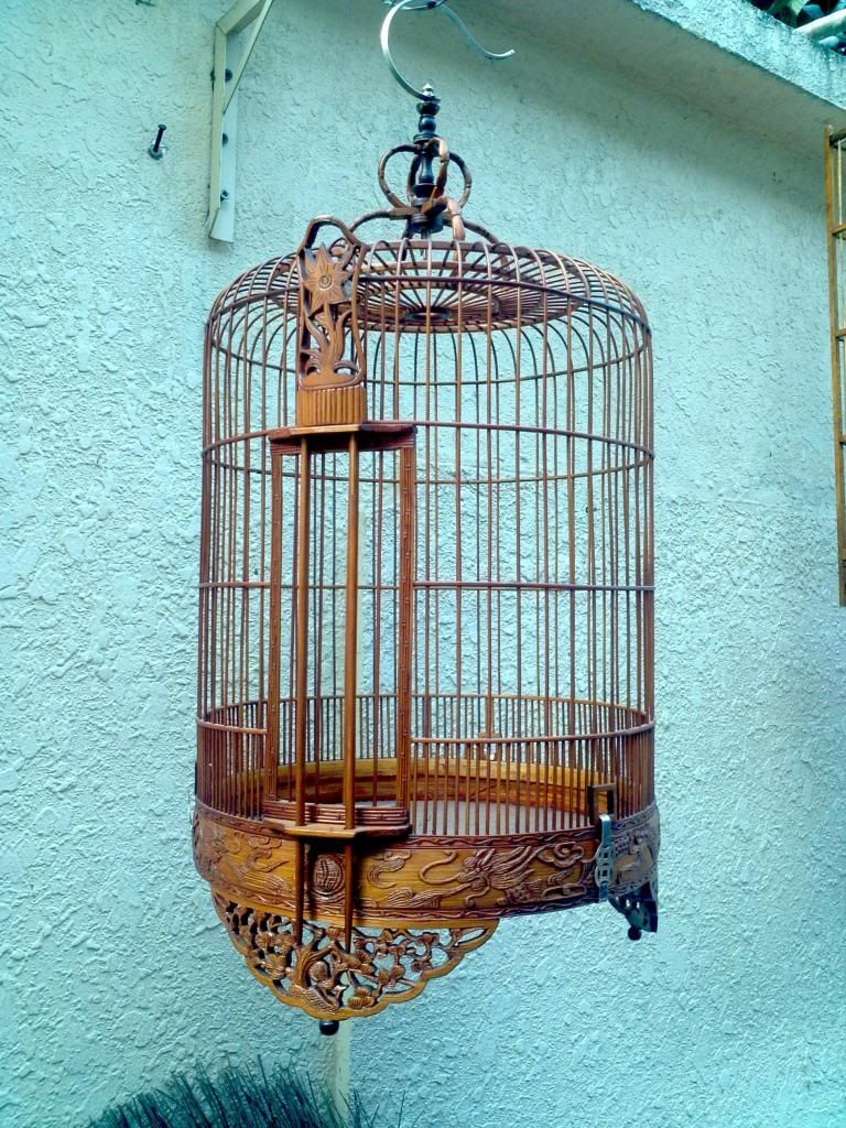 Bán mấy cái lồng cùi - 5