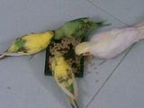 th_09102012003_zps6cd60f9d.jpg