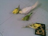 th_09102012004_zps110984c9.jpg