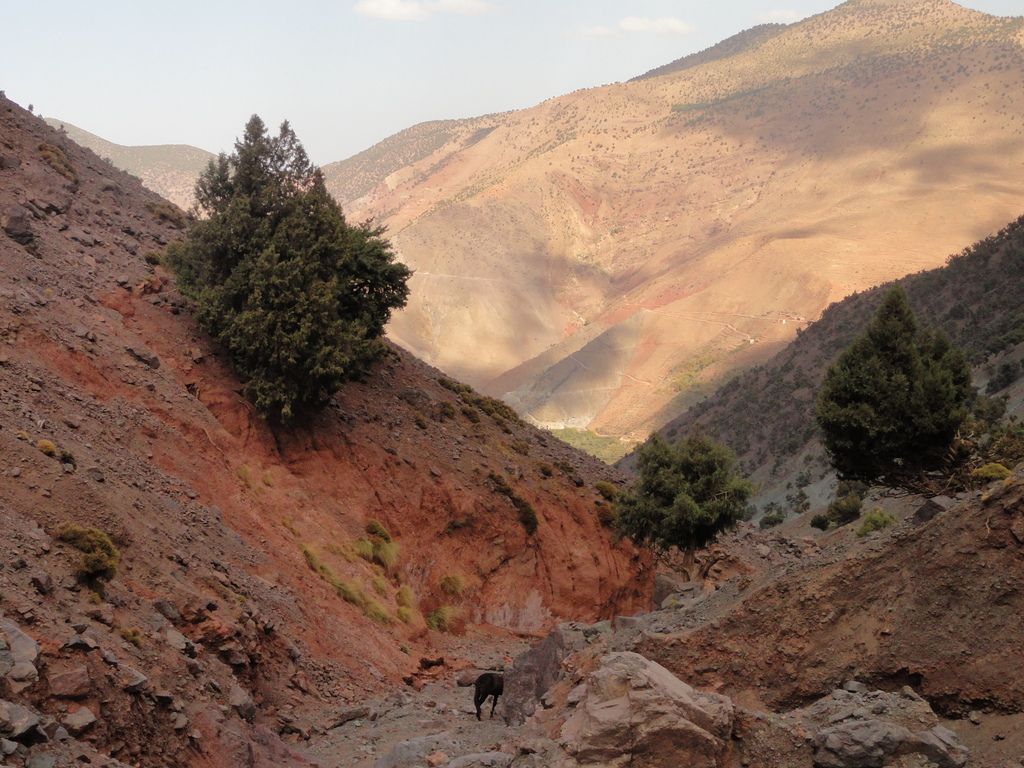 Grand Tour du Toubkal - Blogs de Marruecos - Dia 1: Imi Oughlad – Tizgui. (14)