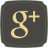 Google+