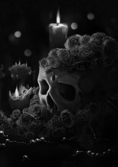 skull roses photo: Skull and Roses tumblr_mnsirytRyE1rd5211o1_500_zps995e8dfb.jpg
