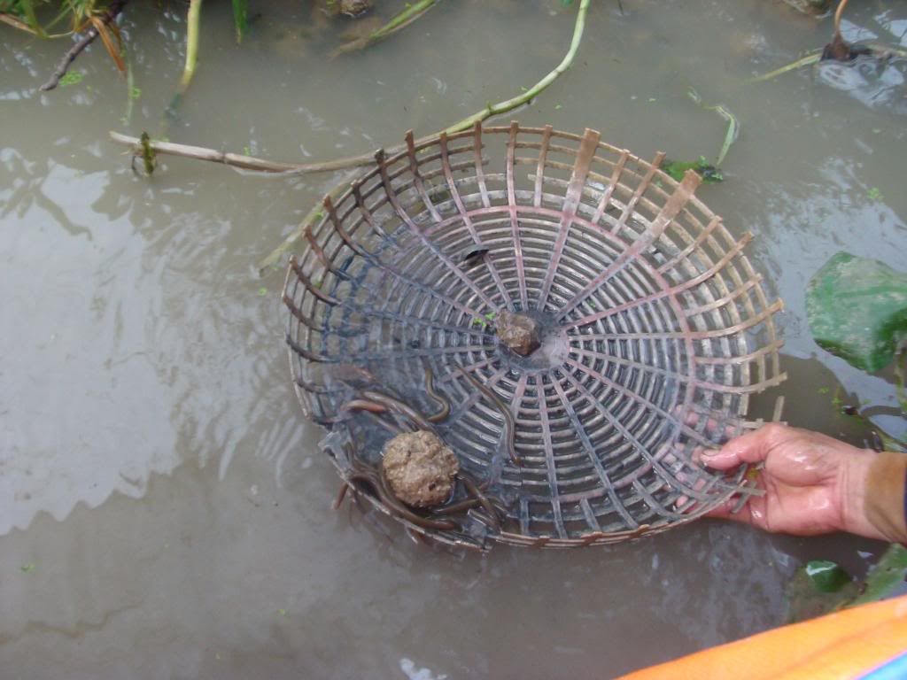 LƯƠN: bỏ công sức, tiền bạc cũng đáng !