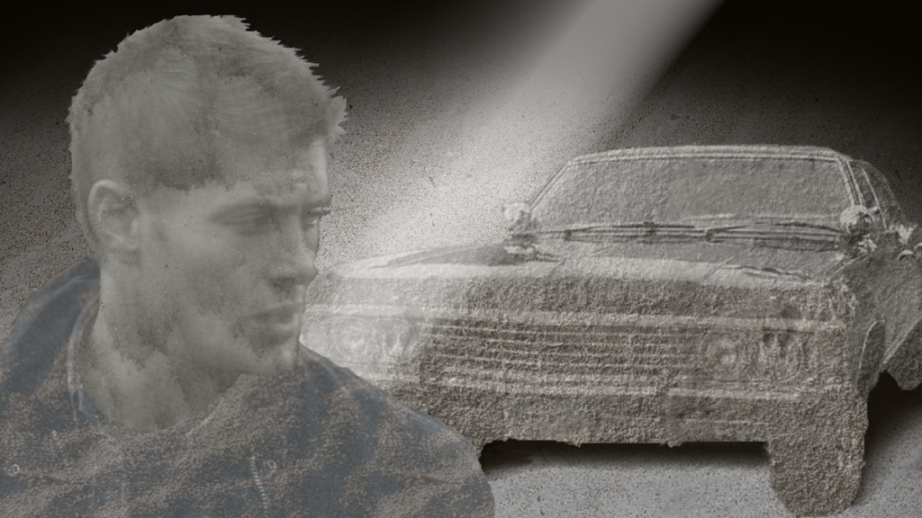 In the box - cage - small photo cagesmaller_zps721979aa.png