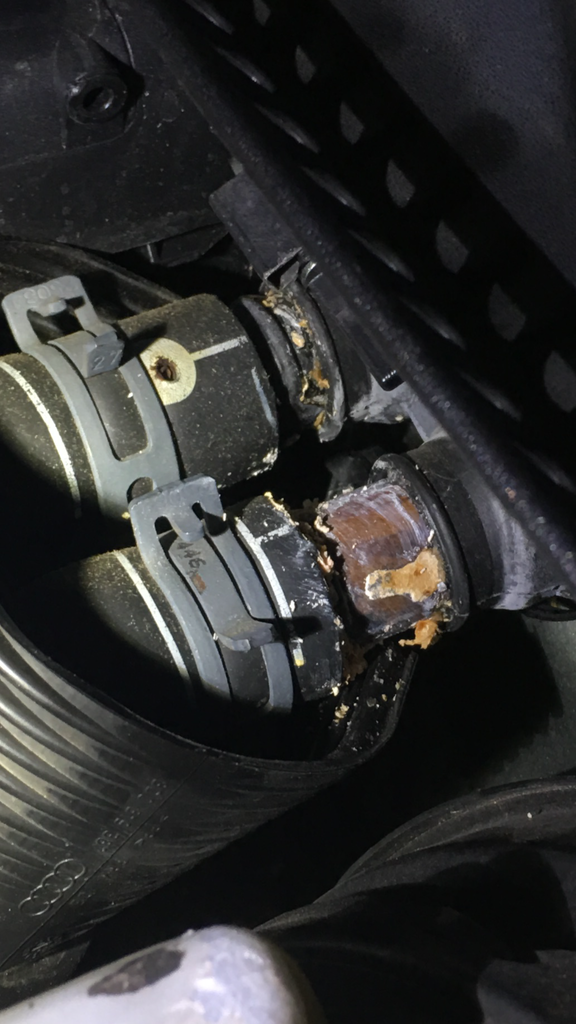 Heavy Coolant Odor from Engine Bay Volkswagen Passat Forum