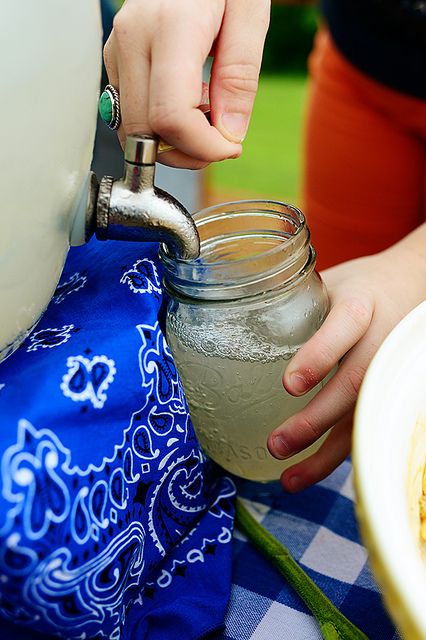20 Tasty Twists on Lemonade {Dolen Diaries}