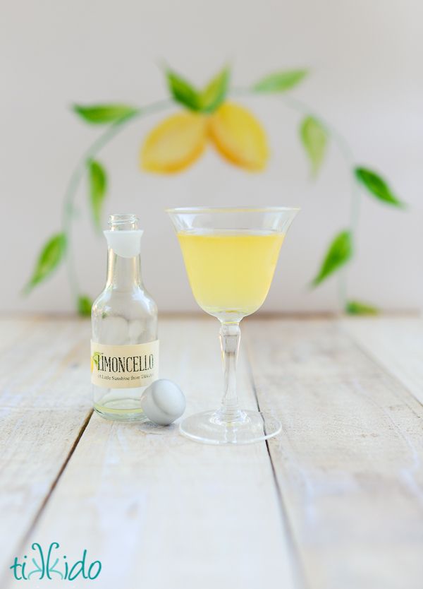 20 Tasty Twists on Lemonade {Dolen Diaries}