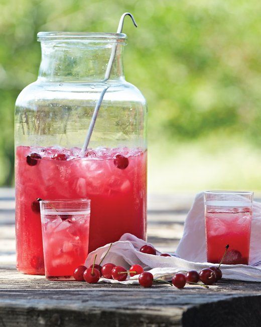 20 Tasty Twists on Lemonade {Dolen Diaries}