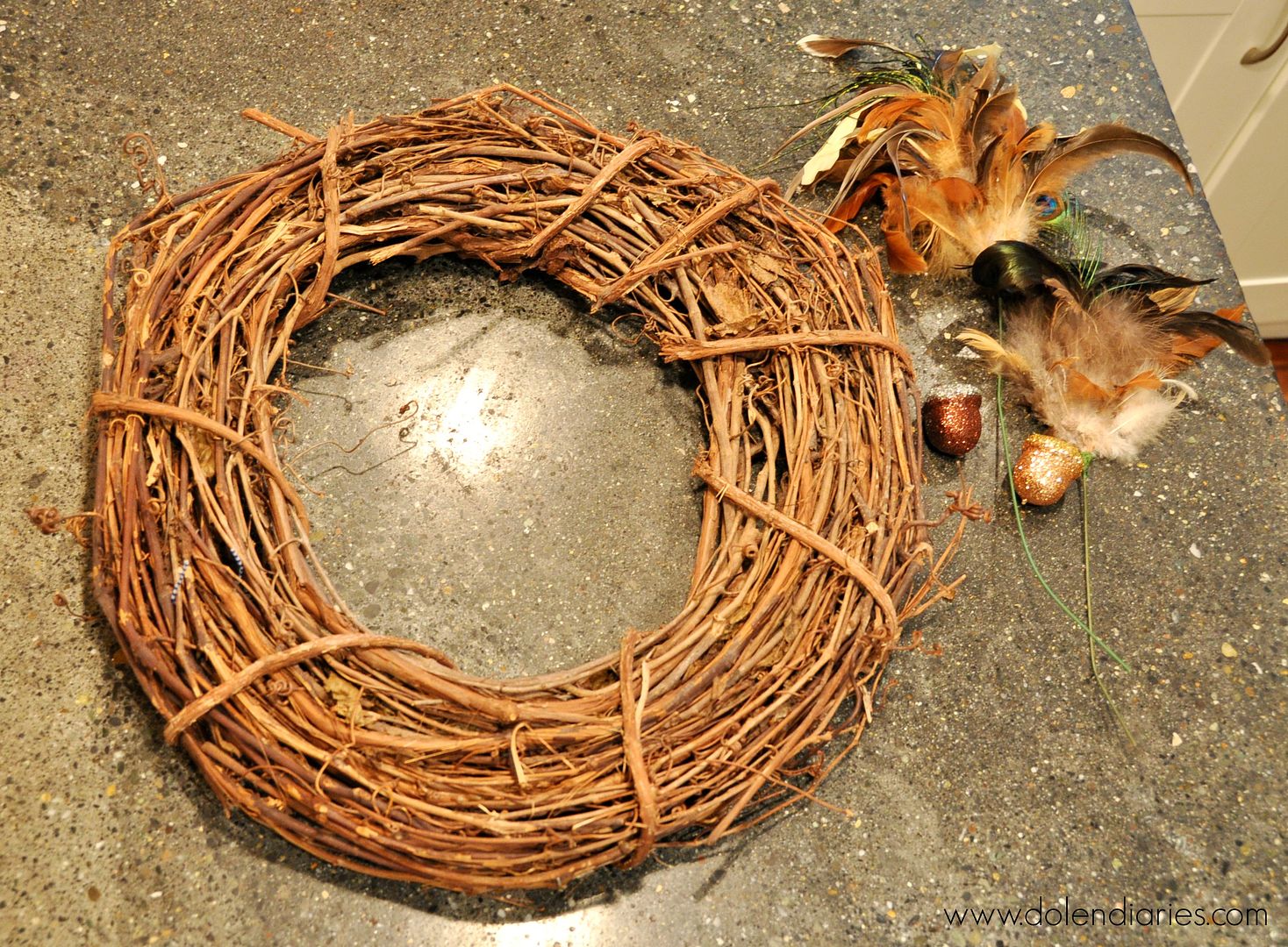 5-Minute Fall Wreath by Dolen Diaries | Mabey She Made It | #fall #autumn #wreath #falldecor #easywreath #feathers