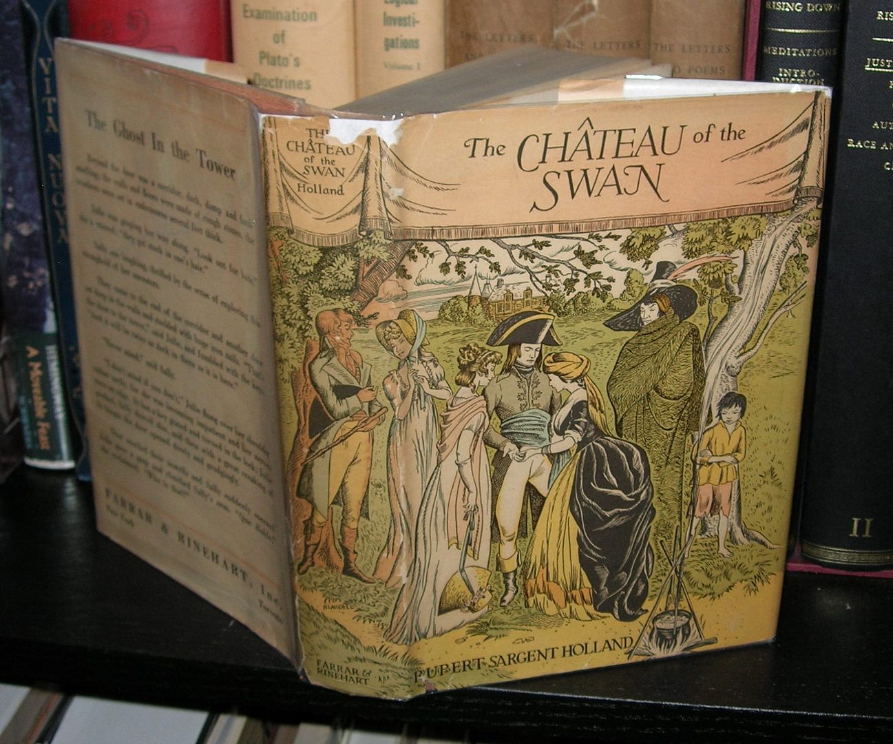 Image for THE CHATEAU OF THE SWAN