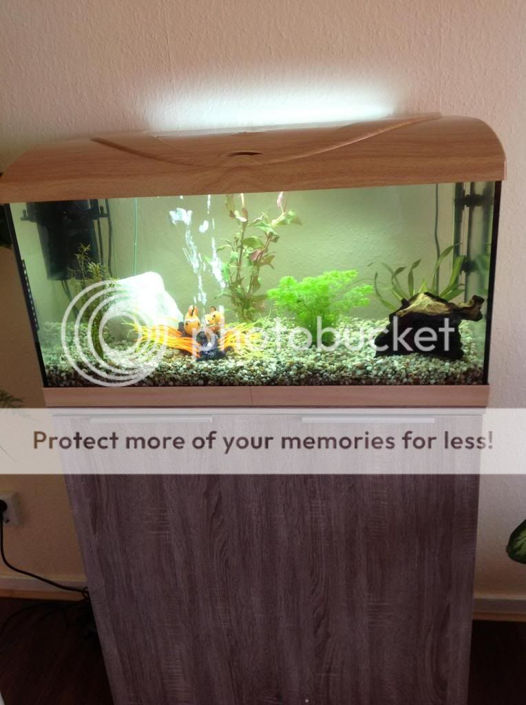 Photobucket Pictures, Images and Photos