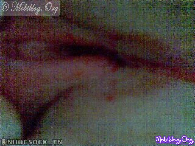 © Mobiblog.Org