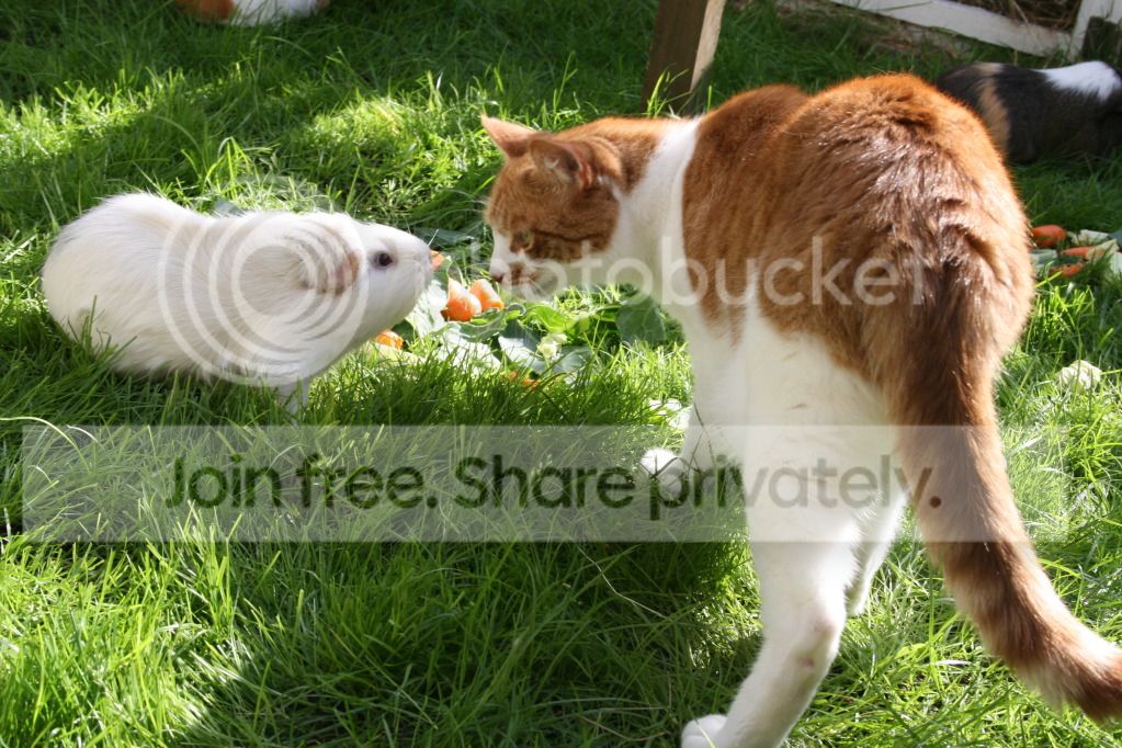 IMG_0556_zps7d8b4834.jpg
