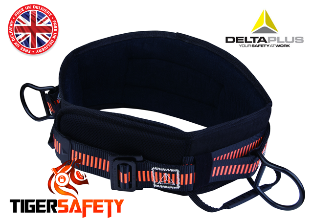  photo Delta Plus Froment EX220 Fall Arrest Working At Height Back Support Belt_zpsr5hiay3a.png